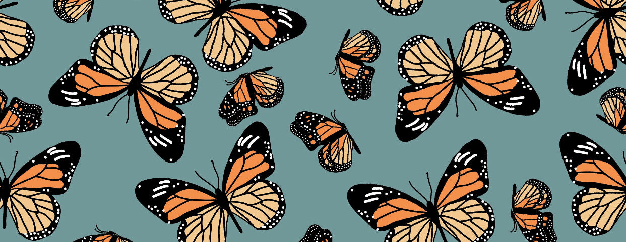 Monarch Butterflies Yoga Stretch Headband